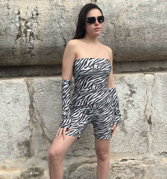 TUTA ZEBRA